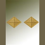 US Odznak Army-Pár-OFFZ.FINANCE GOLD