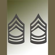 US Odznak Army-Pár- MST.SGT.